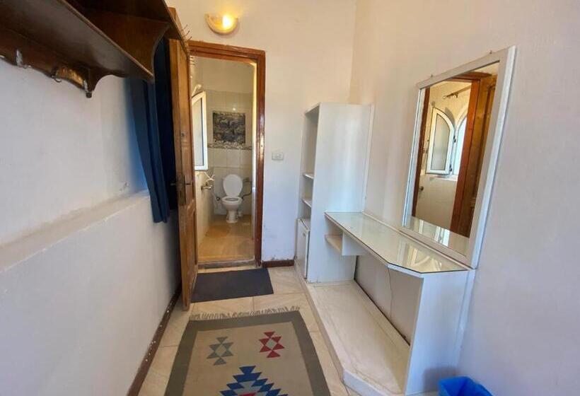 エコノミーシングルルーム, Neptune