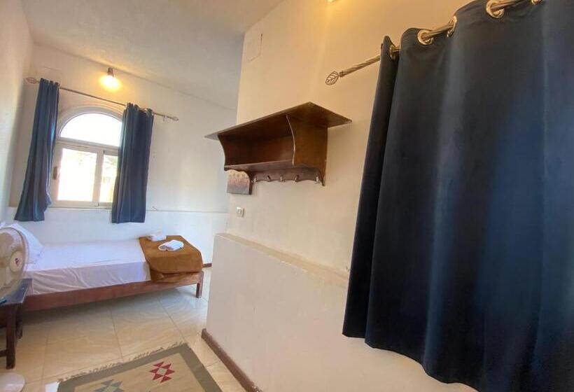 エコノミーシングルルーム, Neptune