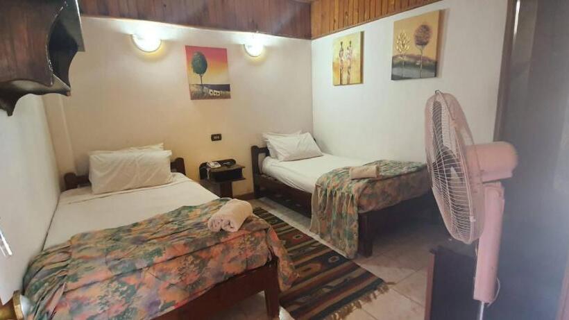 エコノミールーム, Neptune