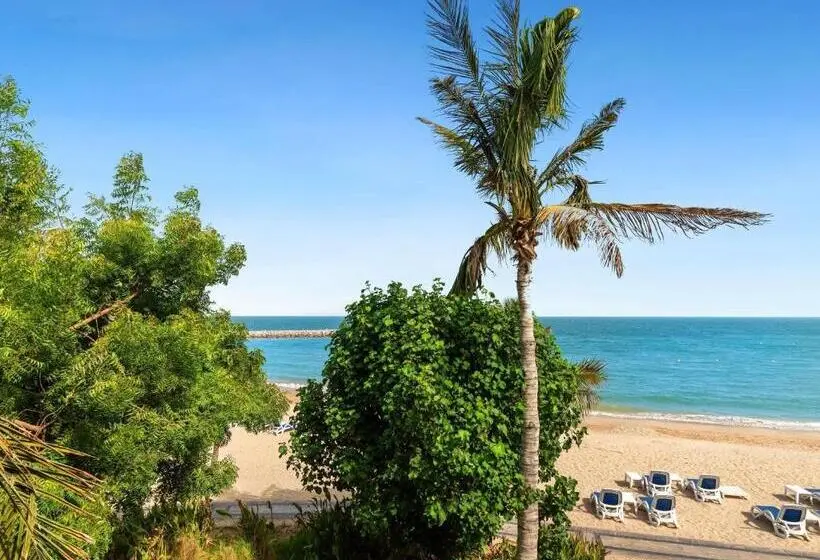 سوئیت پریمیوم با چشم‌انداز دریا, Rixos Al Mairid Ras Al Khaimah