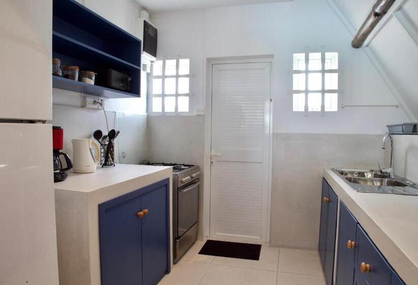 بنگله خانوادگی, Blue Bird