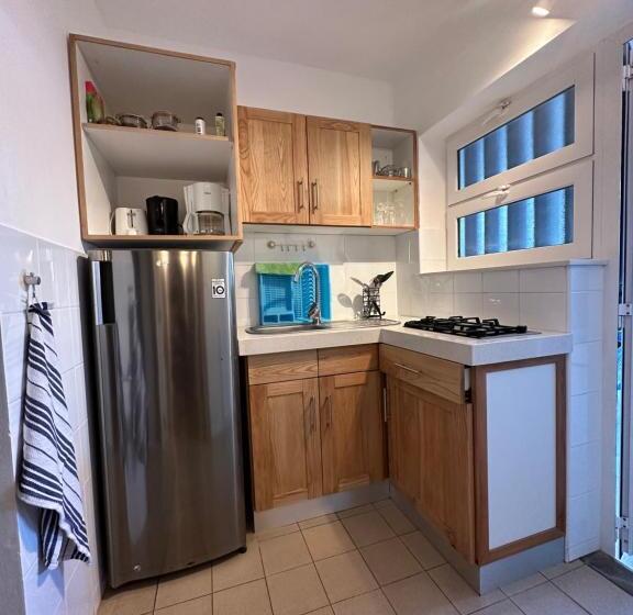 استودیوی استاندارد, Blue Bird