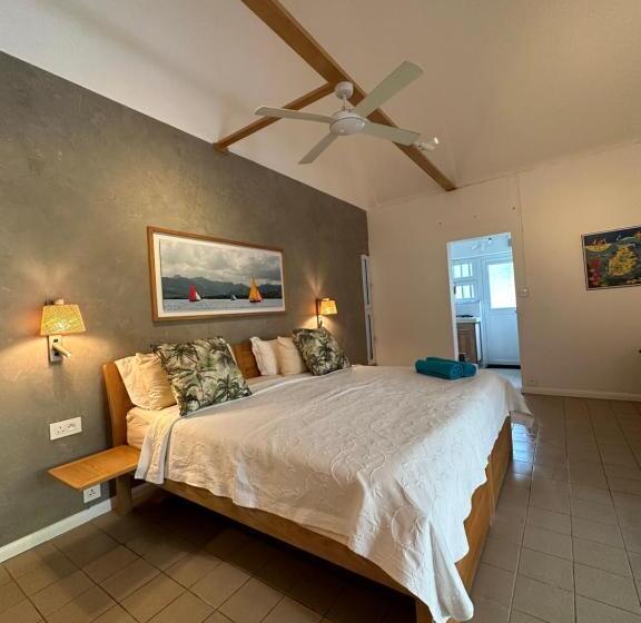 استودیوی استاندارد, Blue Bird