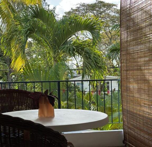 استودیوی استاندارد, Blue Bird