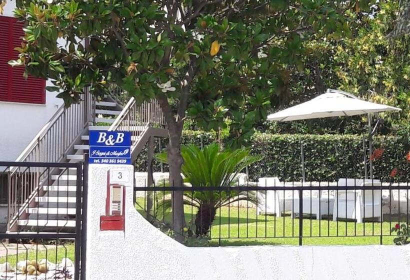 חדר סטנדרט, I Sogni Di Morfeo