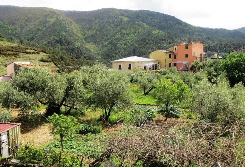 Четырехместный Номер Стандарт, Creuza De 5 Terre