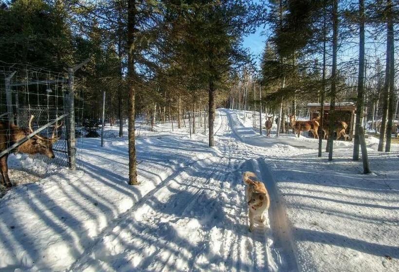 패밀리 룸, Hebergement Cerfstifie Fermette