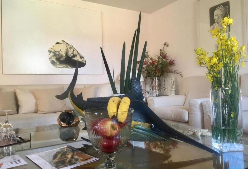 سوییت, B&b Griffoni 7