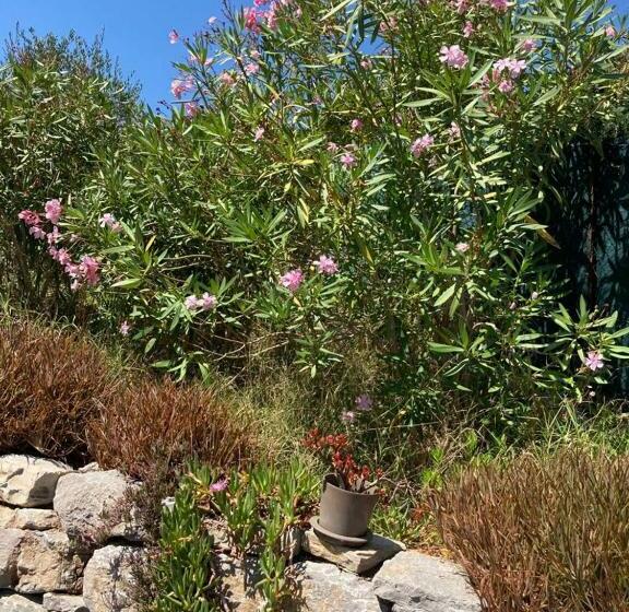 Номер Стандарт с Террасой, Lone Star House