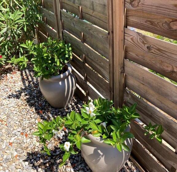 标准间带露台, Lone Star House