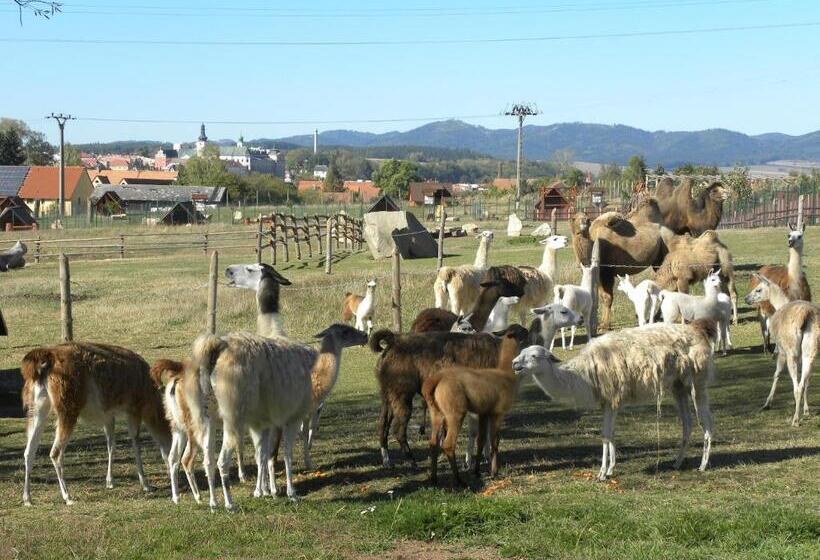 침실 1개 테라스 아파트, Farma Wenet