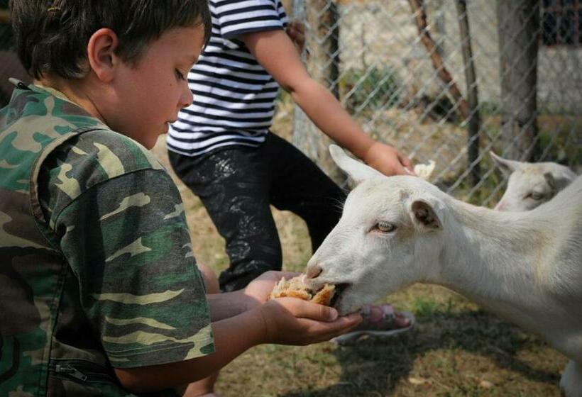 غرفة قياسية ثلاثية, Penzion Pišlikdum