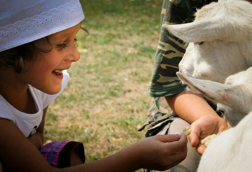 غرفة قياسية ثلاثية, Penzion Pišlikdum