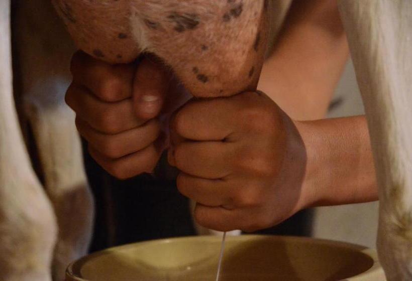 غرفة قياسية ثلاثية, Penzion Pišlikdum