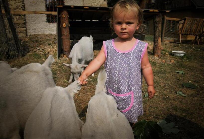 غرفة قياسية ثلاثية, Penzion Pišlikdum