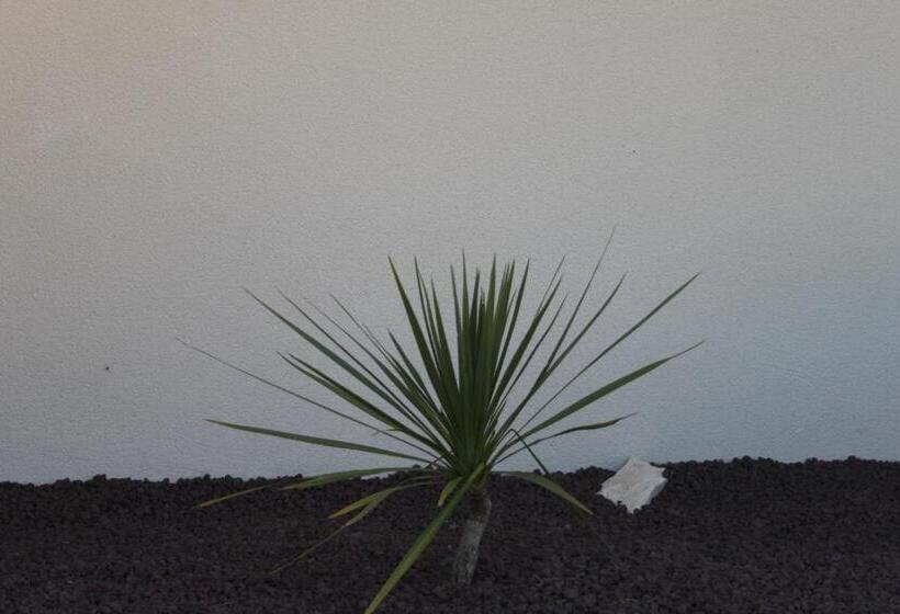 غرفة قياسية مزوَّدة بتراس, Au Fil Des Cévennes