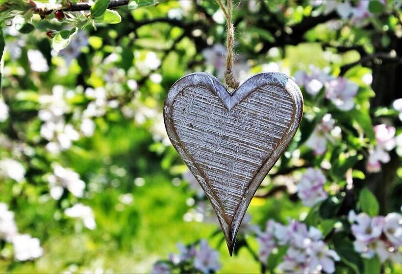 2ベッドルームアパートメント, Salahaus