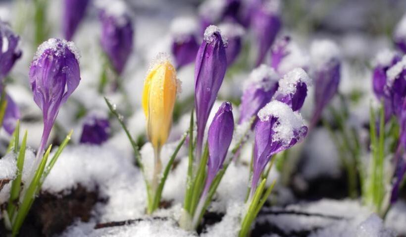 2ベッドルームアパートメント, Salahaus