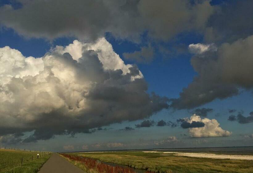 منزل غرفة نوم واحدة, Meeuw