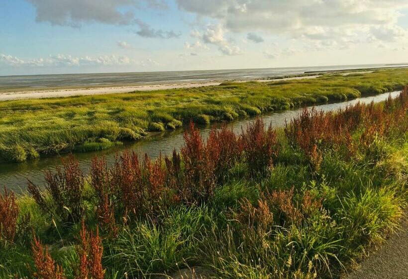 منزل غرفة نوم واحدة, Meeuw