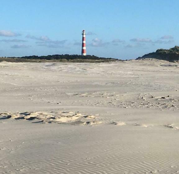 منزل غرفة نوم واحدة, Meeuw