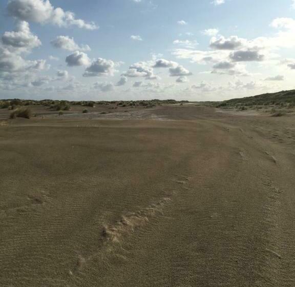 منزل غرفة نوم واحدة, Meeuw