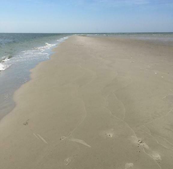 منزل غرفة نوم واحدة, Meeuw