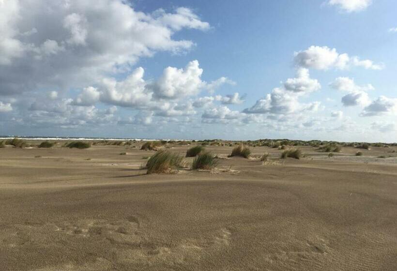 منزل غرفة نوم واحدة, Meeuw