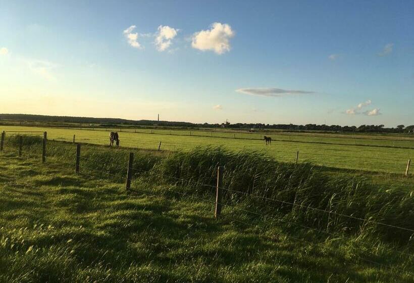 منزل غرفة نوم واحدة, Meeuw