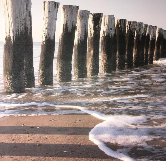 منزل غرفة نوم واحدة, Meeuw