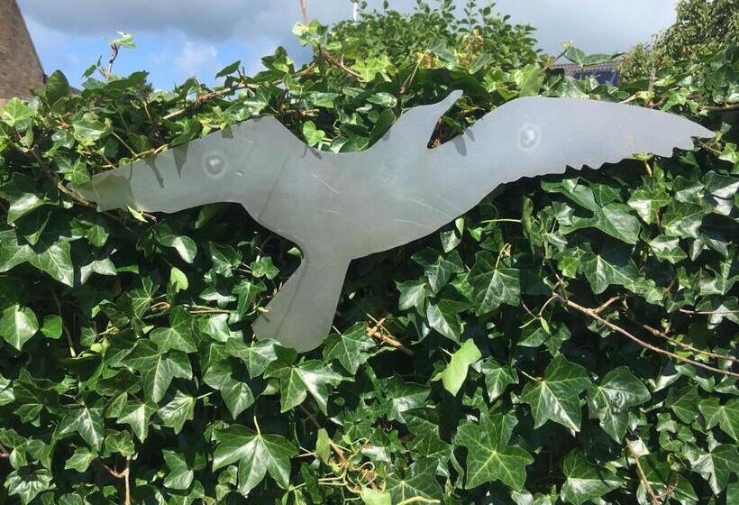 منزل غرفة نوم واحدة, Meeuw