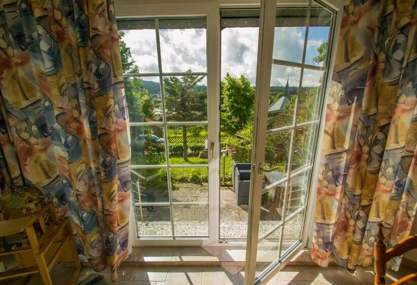 Апартаменты 1 Спальня с Видом, Haus Waldwiese