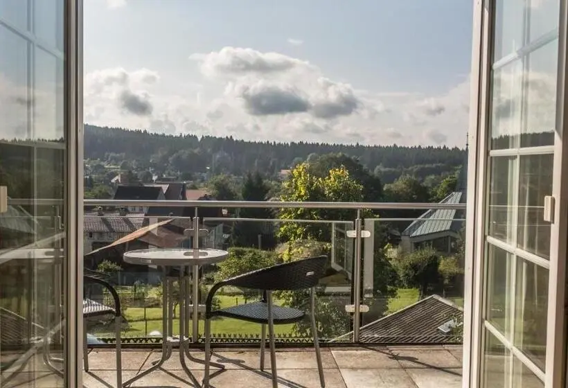 آپارتمان 1 خوابه با بالکن, Haus Waldwiese