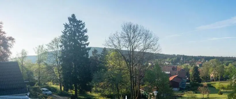 اتاق استاندارد با چشم‌انداز کوهستان, Haus Waldwiese