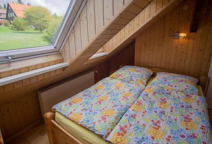 Номер Стандарт, Haus Waldwiese