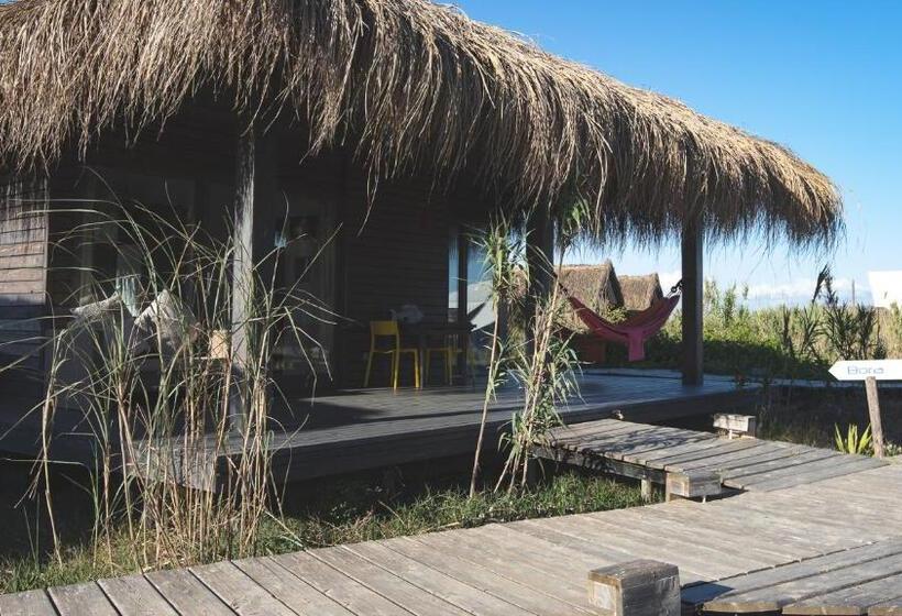 בקתה סטנדרטית, Windresort