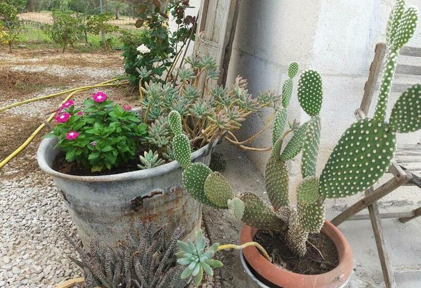 חדר סטנדרט נוף לגינה, Casetta Vacanza In Campagna