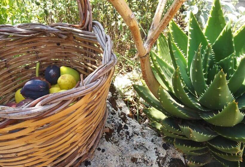 חדר סטנדרט נוף לגינה, Casetta Vacanza In Campagna