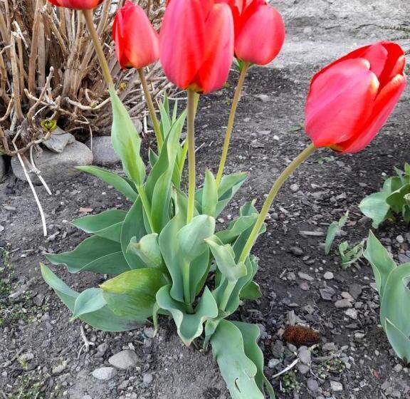 带观景的标准间, Ferienhaus Kolbnitz