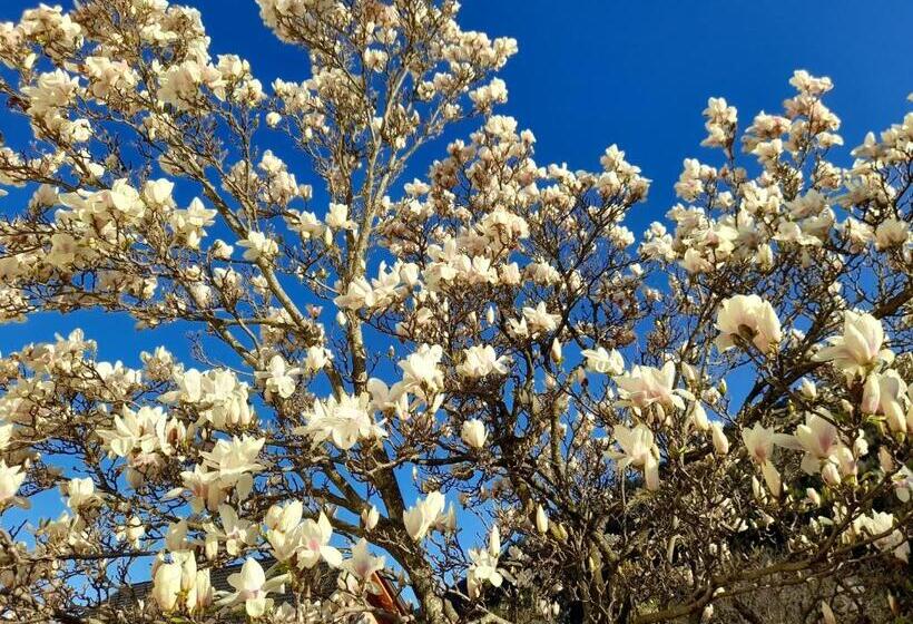 带1个卧室的公寓, Ferienhaus Kolbnitz