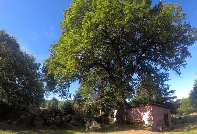 غرفة قياسية مطلّة علي الحديقة, B&b Kikina