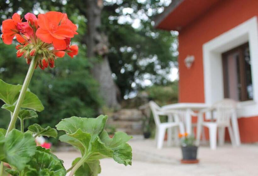 Номер Стандарт Вид на Сад, B&b Kikina