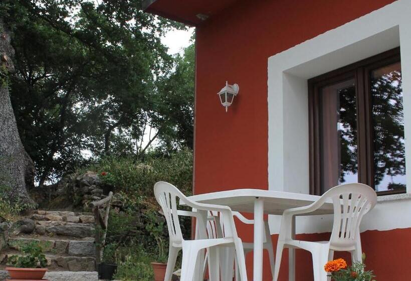 غرفة قياسية, B&b Kikina