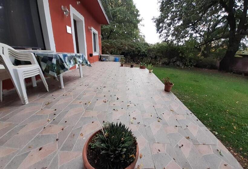 Номер Стандарт, B&b Kikina