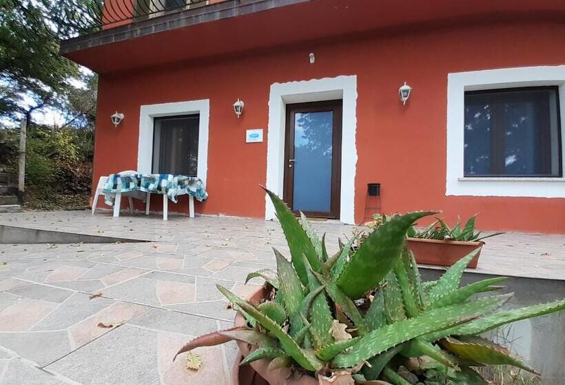 غرفة قياسية, B&b Kikina