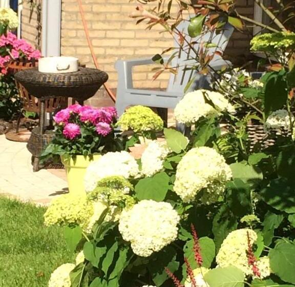 エコノミールーム, Bed And Breakfast Ineke En John