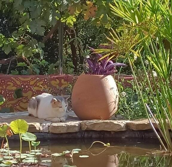 בית, 4 חדרי שינה, Gites Du Raby