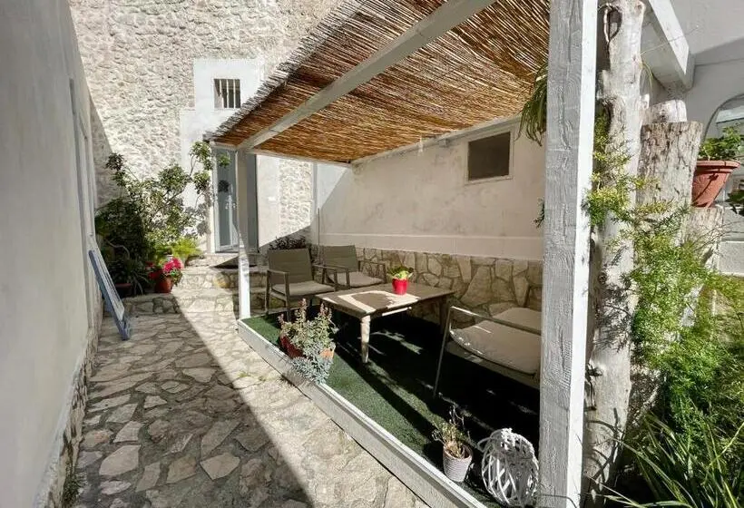 استودیوی استاندارد, Il Giardino Dei Limoni