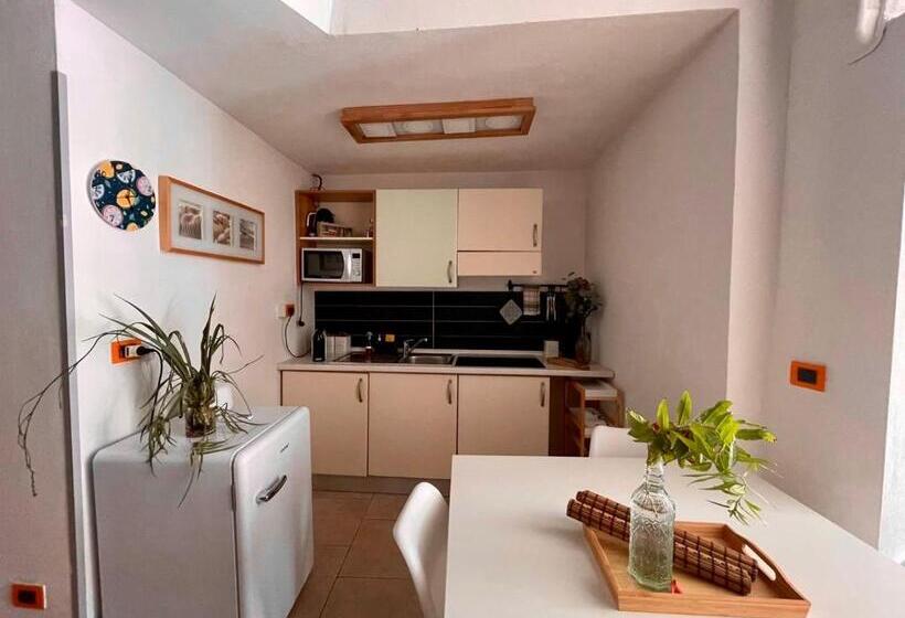 استودیوی استاندارد, Il Giardino Dei Limoni