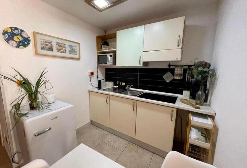 استودیوی استاندارد, Il Giardino Dei Limoni